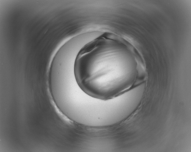 X0000054441152200508121838