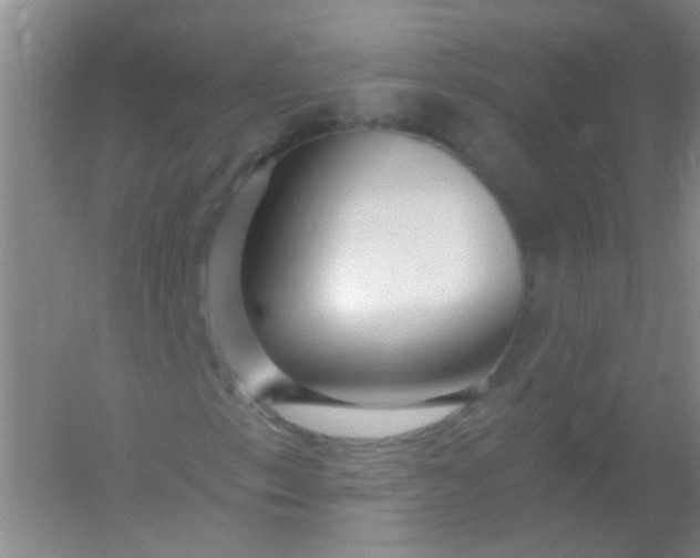 X0000054441153200508121837