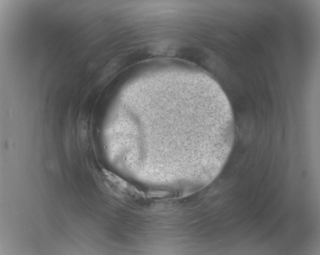 X0000054441154200508121837