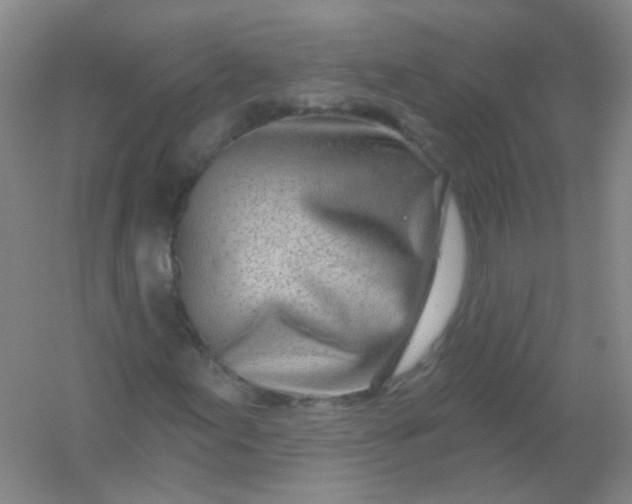 X0000054441155200508121837