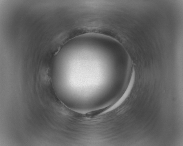 X0000054441156200508121837