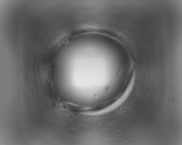 X0000054441157200508121837