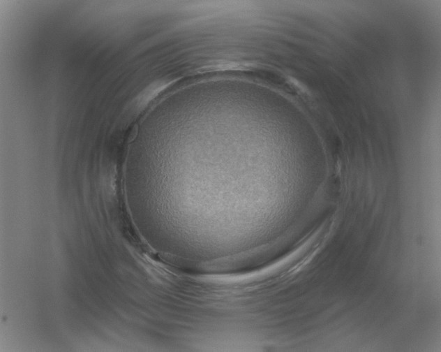 X0000054441161200508121837