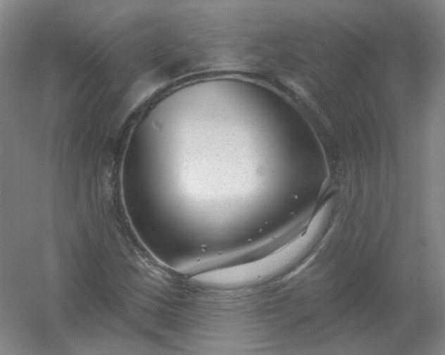 X0000054441163200508121837