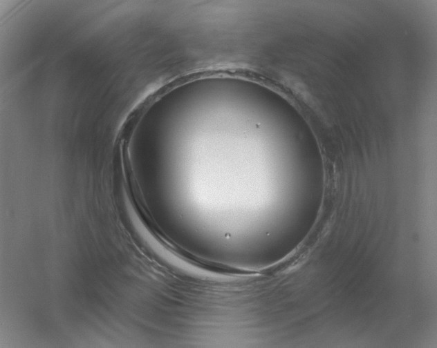 X0000054441165200508121837