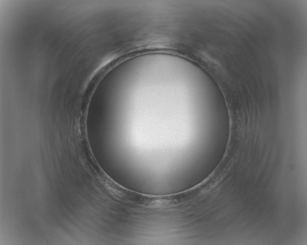 X0000054441166200508121837