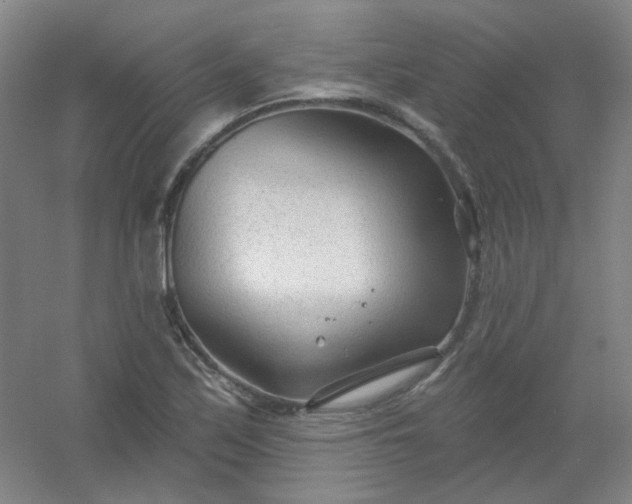 X0000054441171200508121837