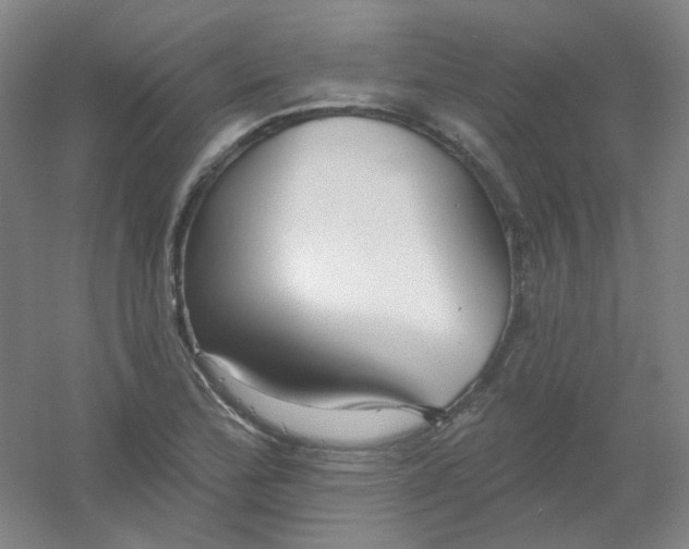 X0000054441172200508121837