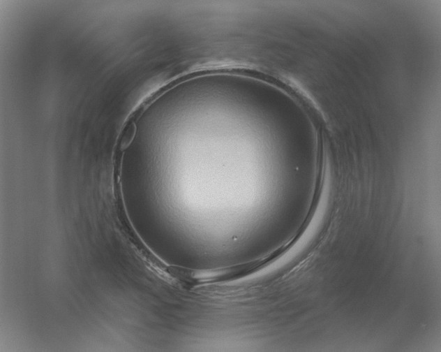 X0000054441173200508121837