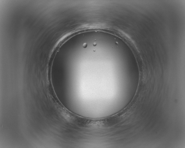 X0000054441174200508121837