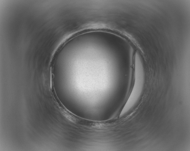 X0000054441175200508121837