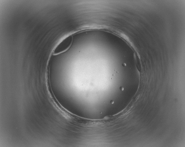 X0000054441187200508121836