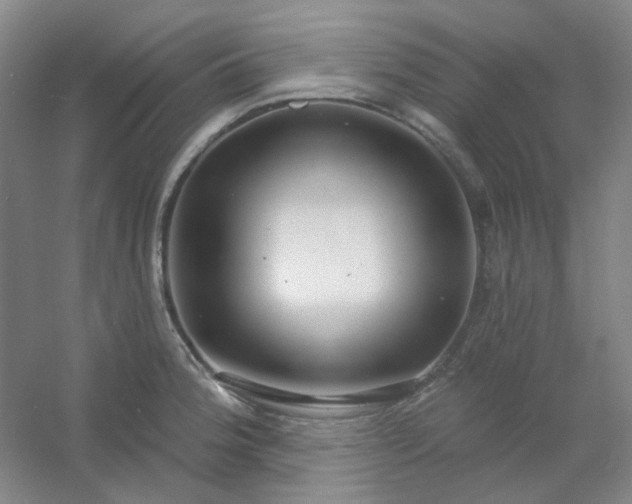 X0000054441188200508121836