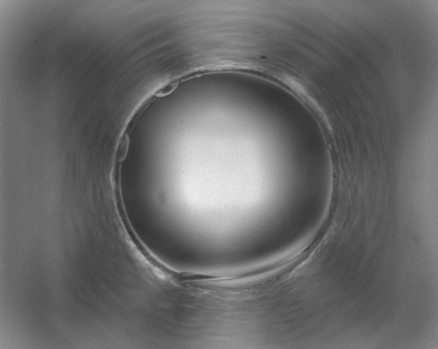 X0000054441189200508121836