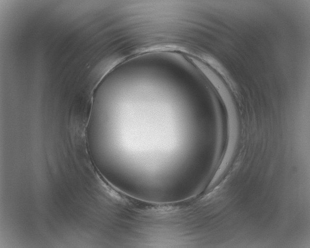 X0000054441193200508121836