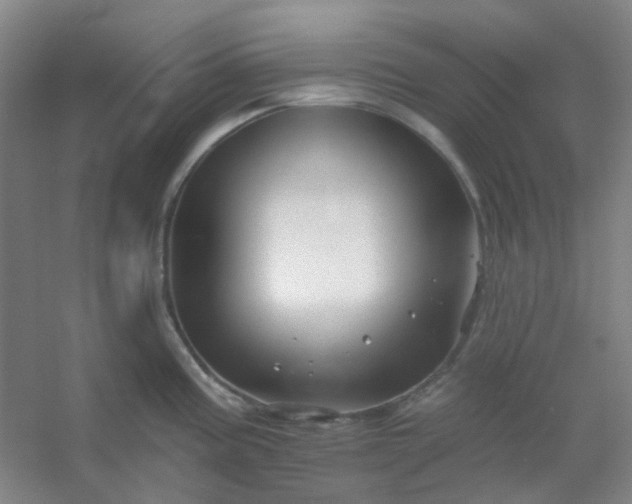 X0000054441195200508121836