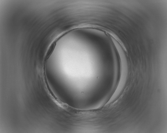 X0000054441197200508121836