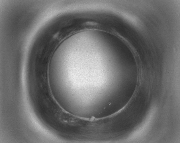 X0000054441199200508121836