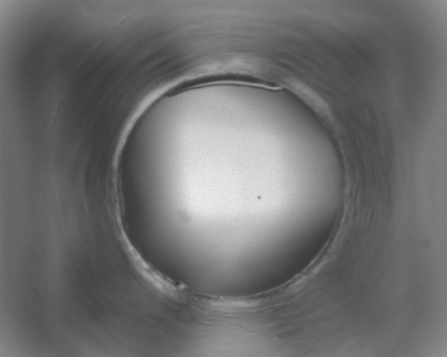 X0000054441200200508121836