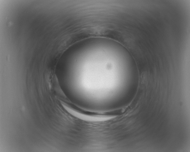 X0000054441202200508121835