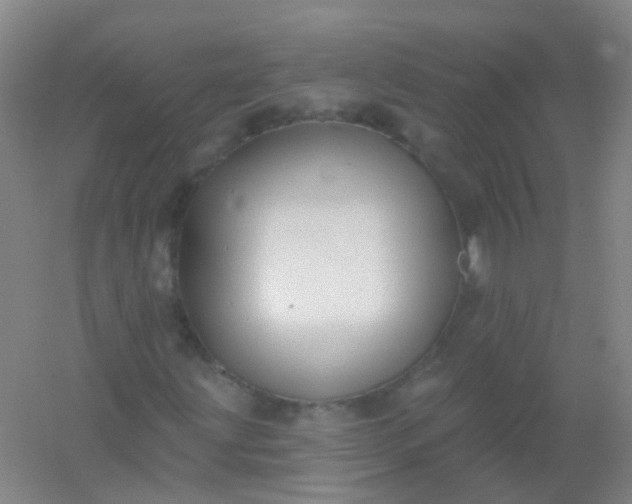 X0000054441203200508121835