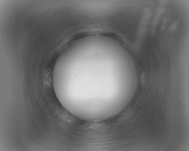 X0000054441204200508121835