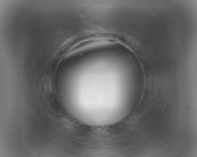 X0000054441205200508121836