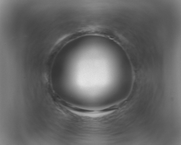 X0000054441206200508121836