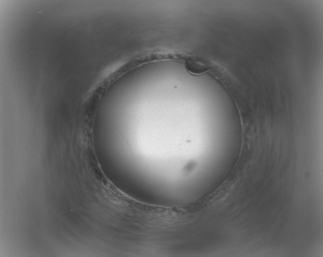 X0000054441207200508121836