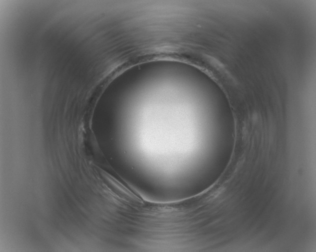 X0000054441209200508121836