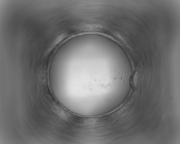 X0000054441211200508121836