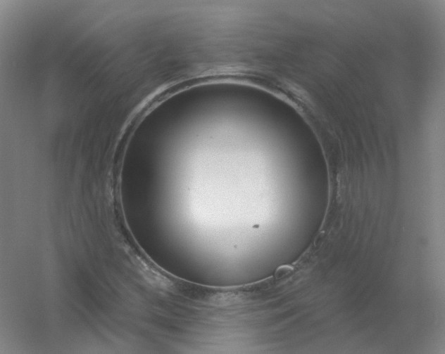 X0000054441212200508121836