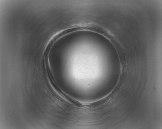 X0000054441214200508121836