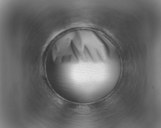 X0000054441215200508121836