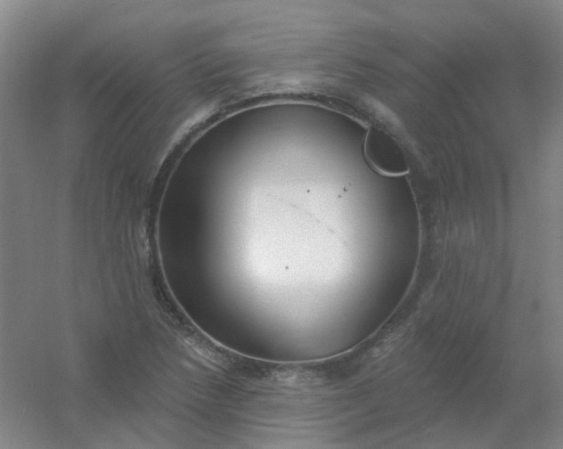 X0000054441218200508121836