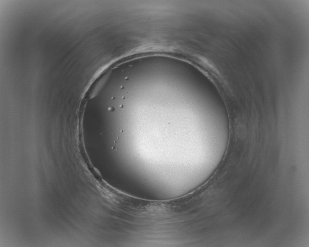 X0000054441220200508121836