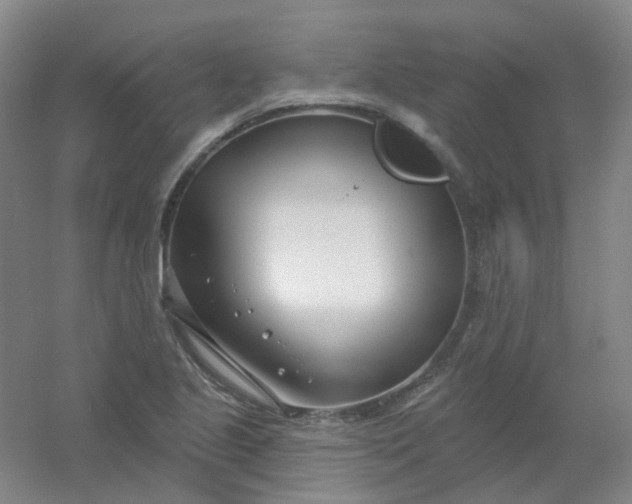 X0000054441221200508121836