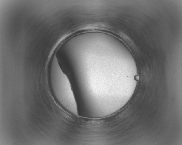 X0000054441224200508121836