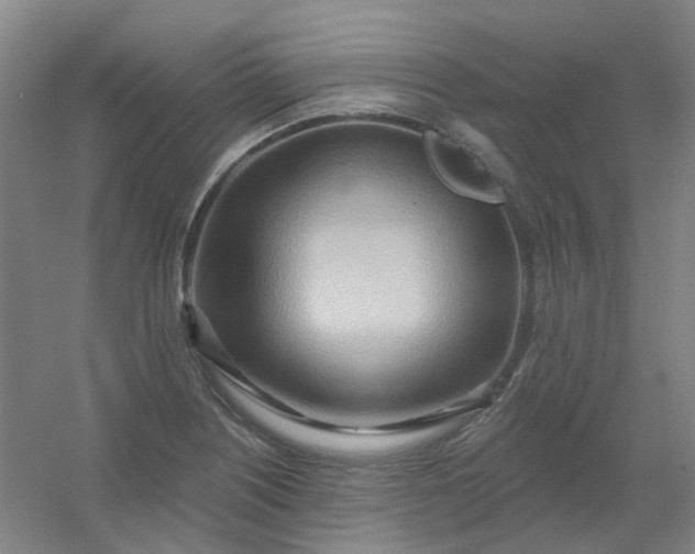 X0000054441226200508121836