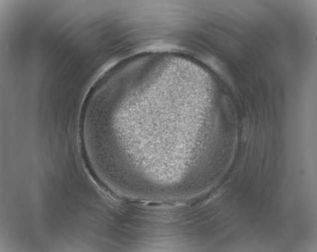 X0000054441229200508121836