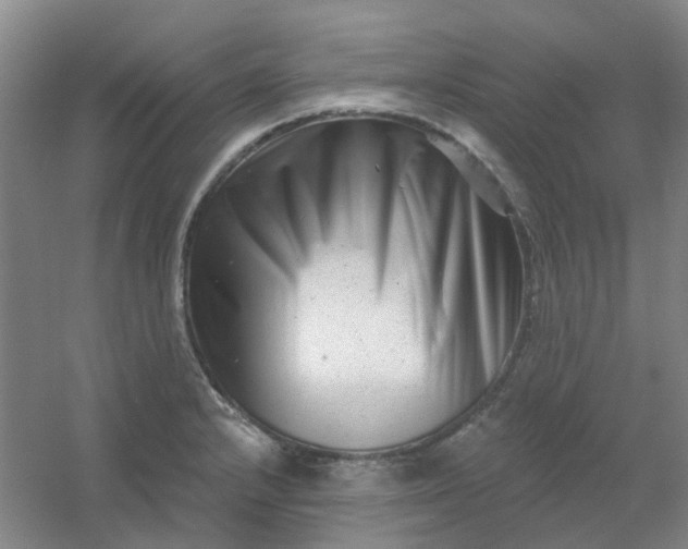 X0000054441232200508121836