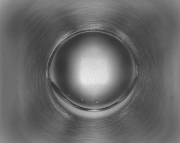 X0000054441234200508121836