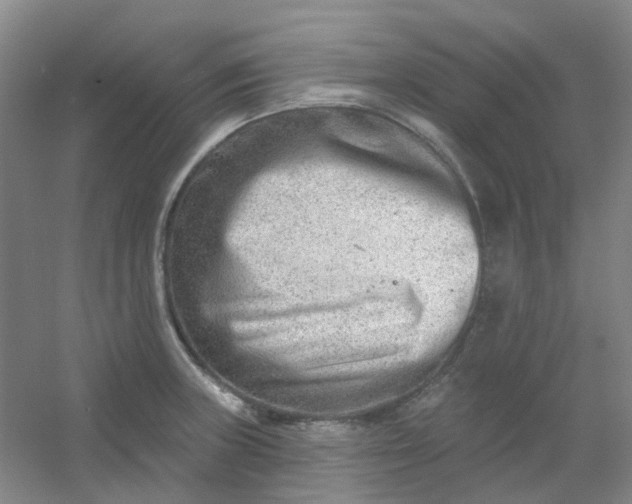 X0000054441235200508121836