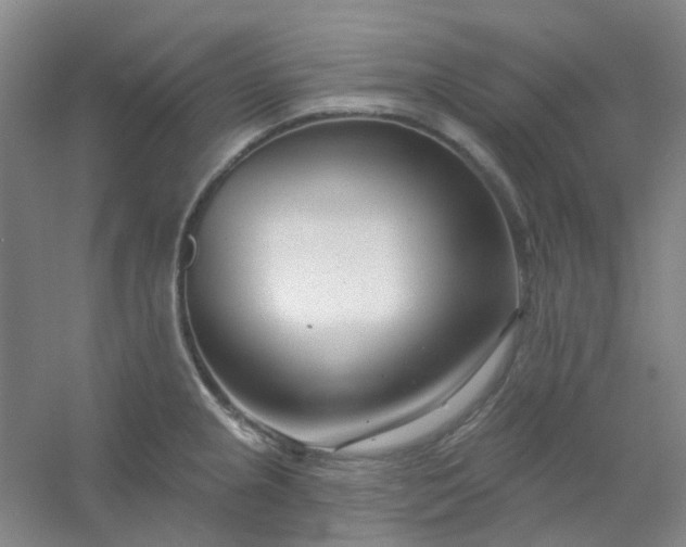 X0000054441237200508121836