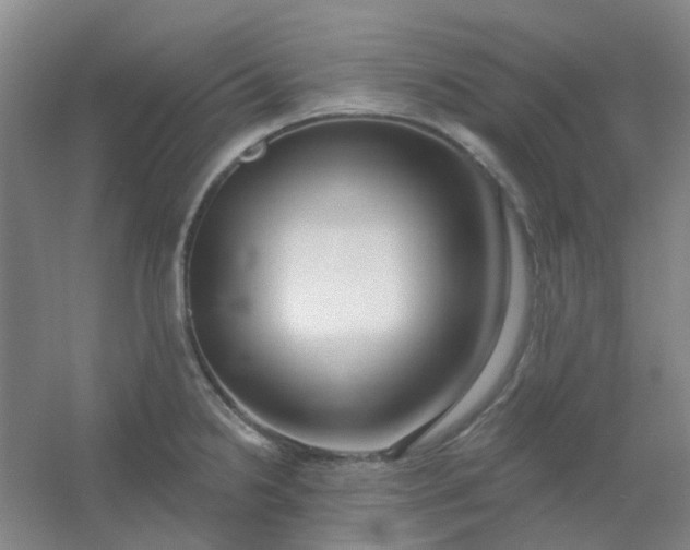 X0000054441238200508121836