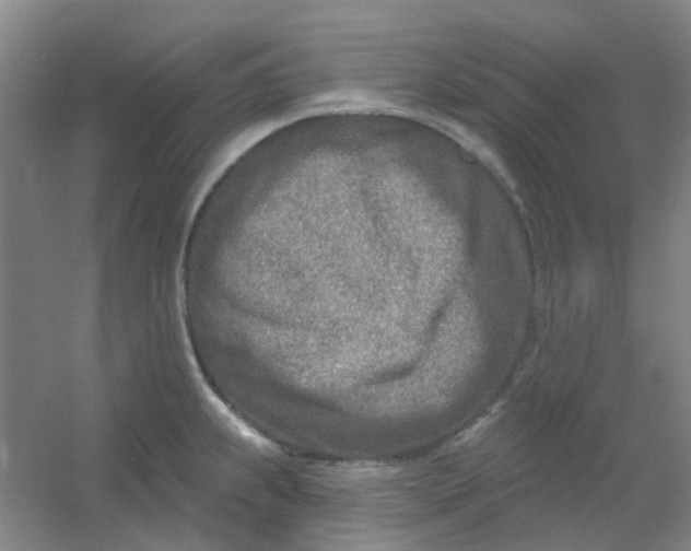 X0000054441239200508121836