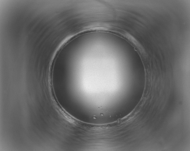 X0000054441240200508121836