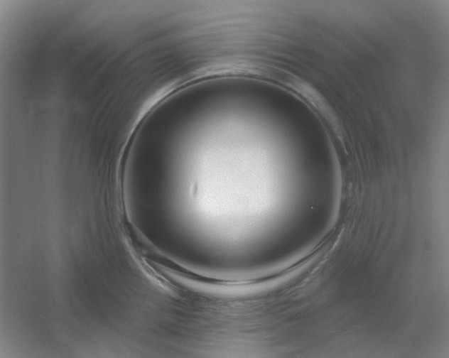 X0000054441242200508121836