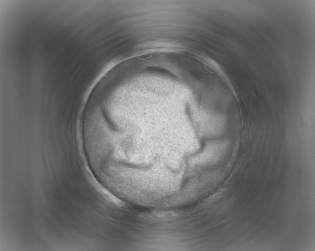 X0000054441243200508121836