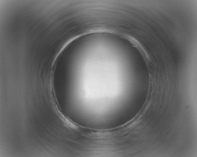 X0000054441244200508121836